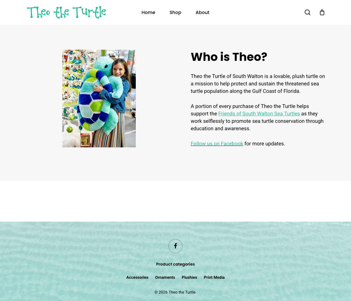 Theo the Turtle Store, Online Stores, Sales, Woo Commerce Integration,